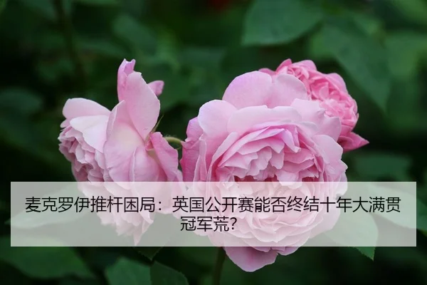 mai-ke-luo-yi-tui-gan-kun-ju-ying-guo-gong-kai-sai-neng-fou-zhong-jie-shi-nian-da-man-guan-guan-jun-huang-3-601.jpg