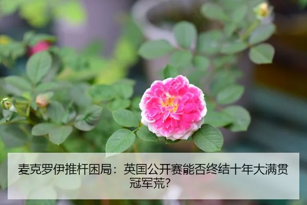 麦克罗伊推杆困局：英国公开赛能否终结十年大满贯冠军荒？