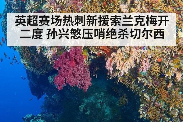 英超赛场热刺新援索兰克梅开二度 孙兴慜压哨绝杀切尔西